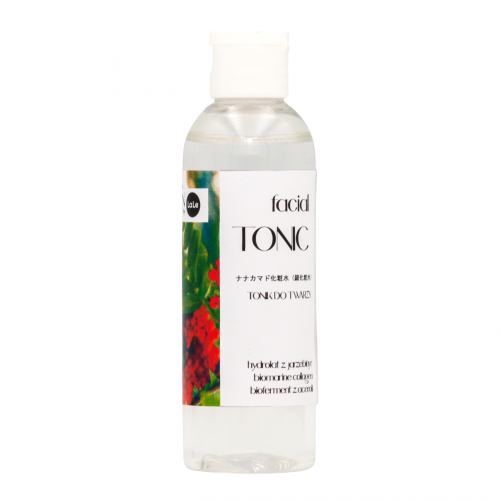 Japan Nature Tonik jarzębinowy 100ml